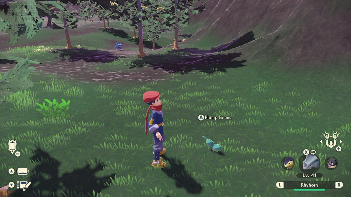 Poor, Peckish Piplup request guide Pokémon Legends Arceus Gamepur