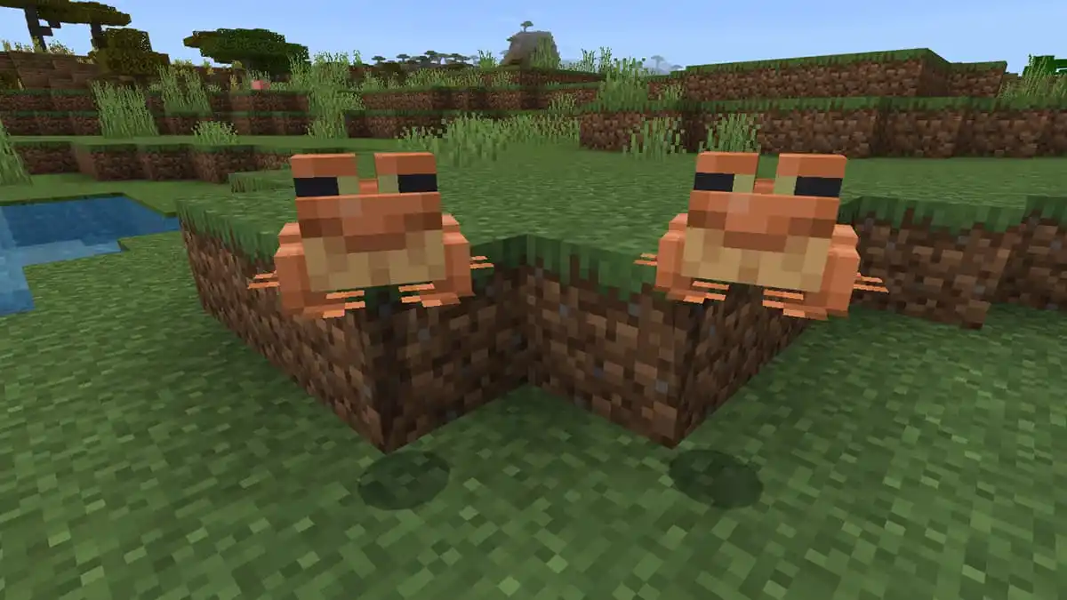 How to breed Frogs and make Tadpoles in Minecraft - Gamepur