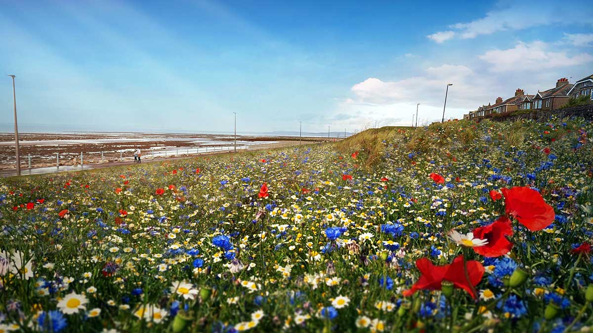 sony-partners-with-the-eden-project-to-establish-a-12-acrew-wildflower-habitat-for-horizon-forbidden-west