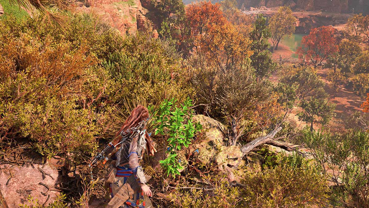 what-is-bitter-leaf-used-for-and-best-farming-locations-in-horizon-forbidden-west