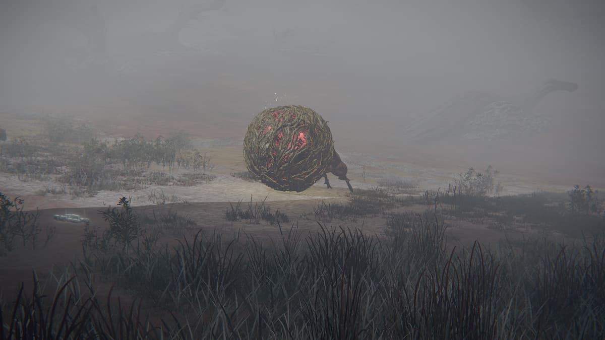 Every Scarab type in Elden Ring, explained Gamepur