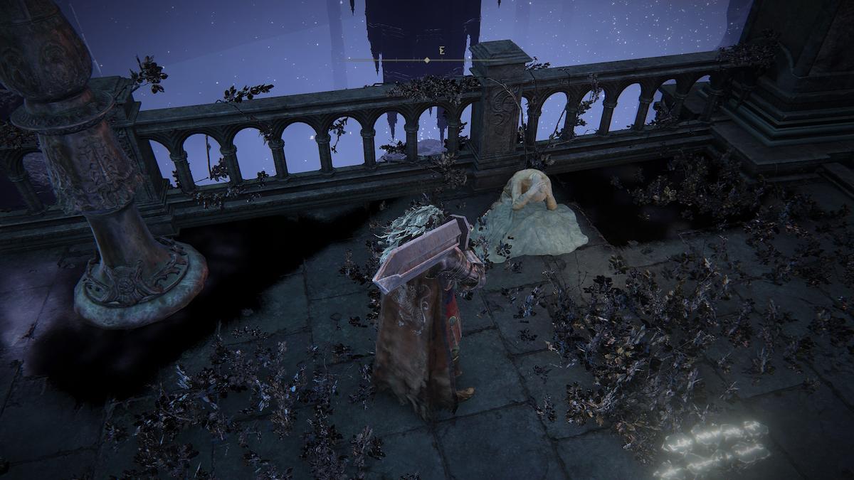 Screenshot of Elden Ring depicting Tarnished and D's brother