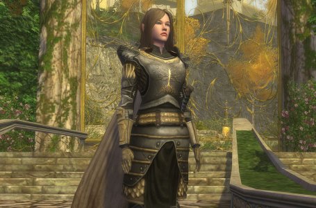  Lord of the Rings Online hits its highest player count in a decade thanks to free expansions 