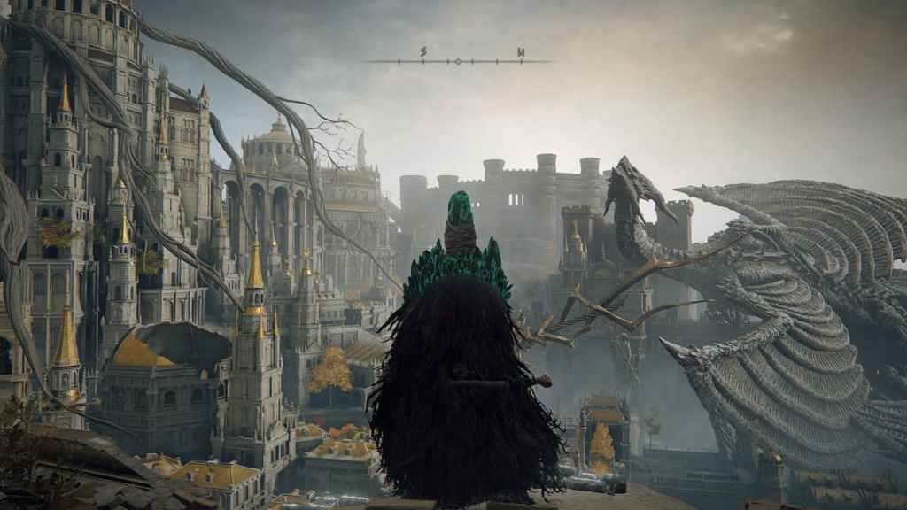 Elden ring cant invade