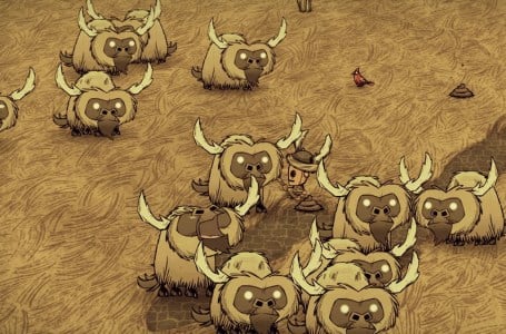  How to find Beefalo in Don’t Starve 
