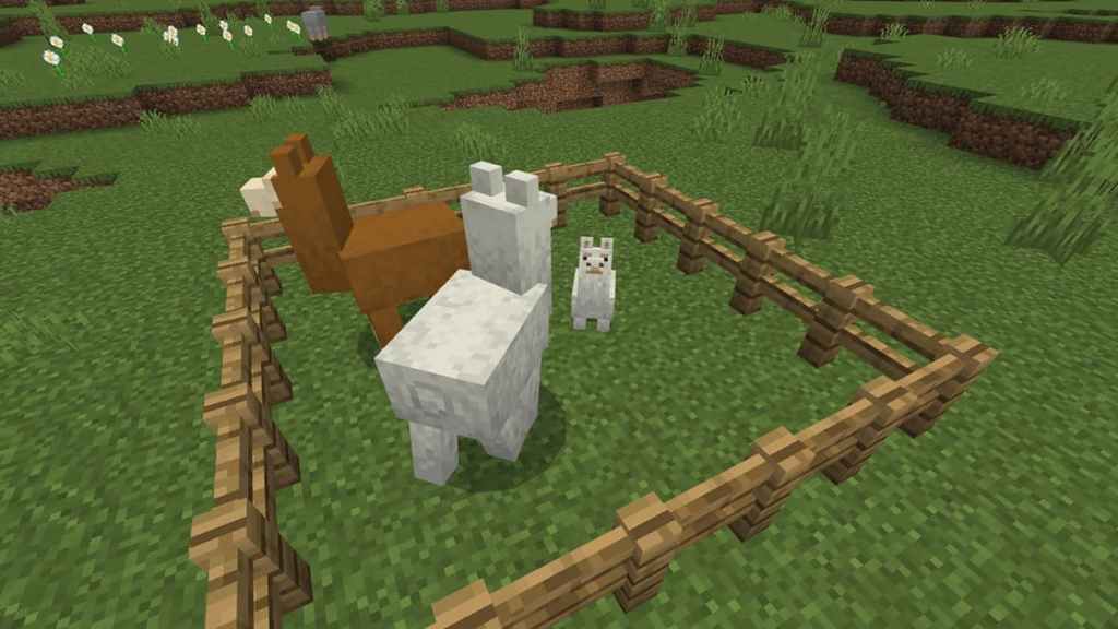 How to breed llamas in Minecraft Gamepur