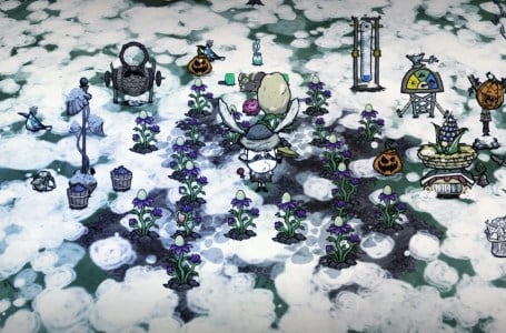  How to get the watering can in Don’t Starve Together 