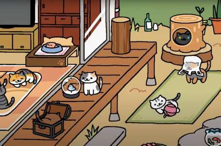  How to get all rare cats in Neko Atsume 