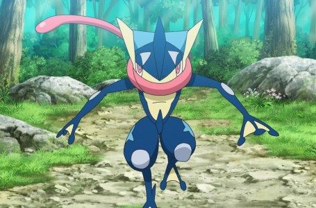  Greninja returns to Pokémon after five-year absence in Scarlet & Violet Tera Raid 