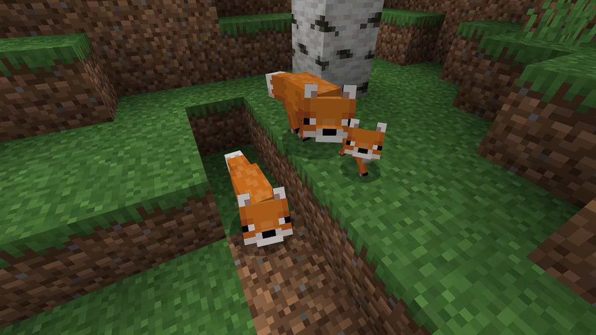 What do Foxes eat in Minecraft? Answered Gamepur