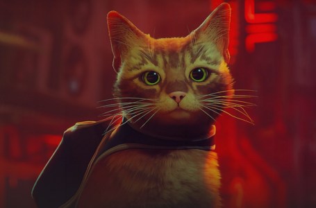  Stray mods let players put their own pet cats into the game 
