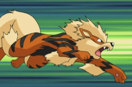  Every dog Pokémon in the series, ranked 