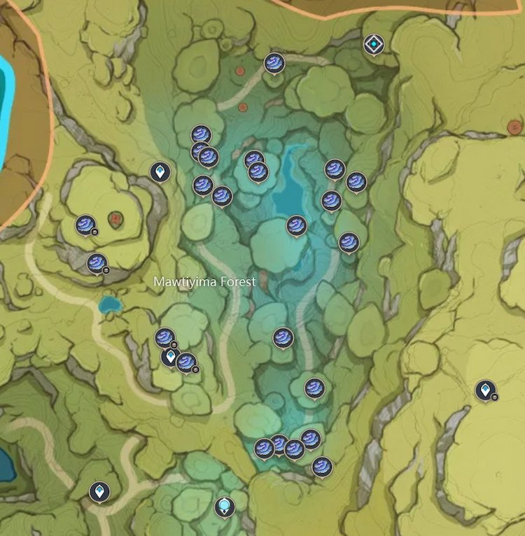 Where to get Rukkhashava Mushrooms in Genshin Impact Rukkashava