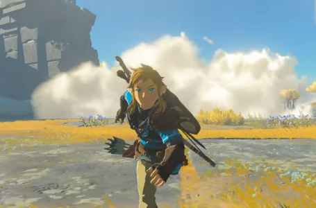  The Top 10 Best Legend Of Zelda Characters 