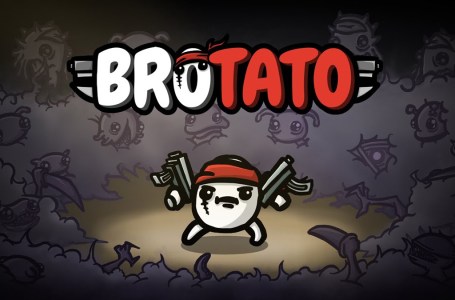  The 10 best builds in Brotato 