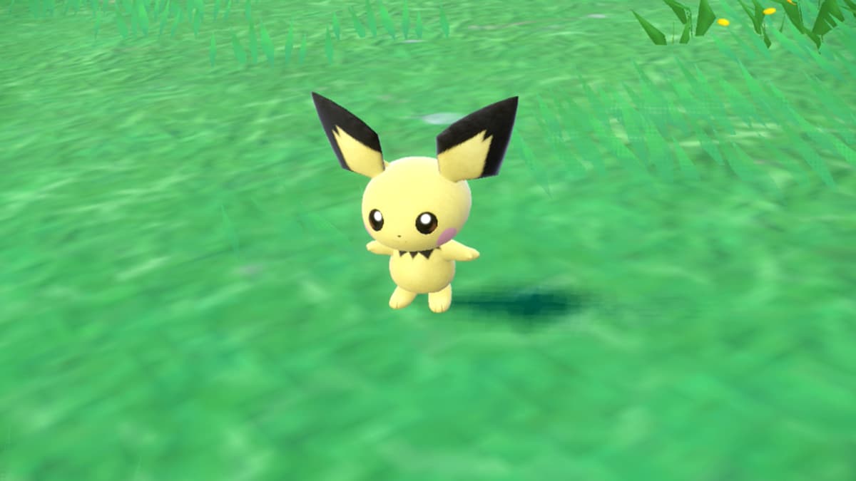 Where to find Pichu in Pokémon Scarlet and Violet - Gamepur