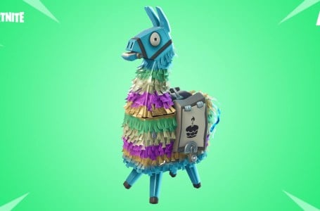  What is the origin of the Fortnite Llama? Answered 