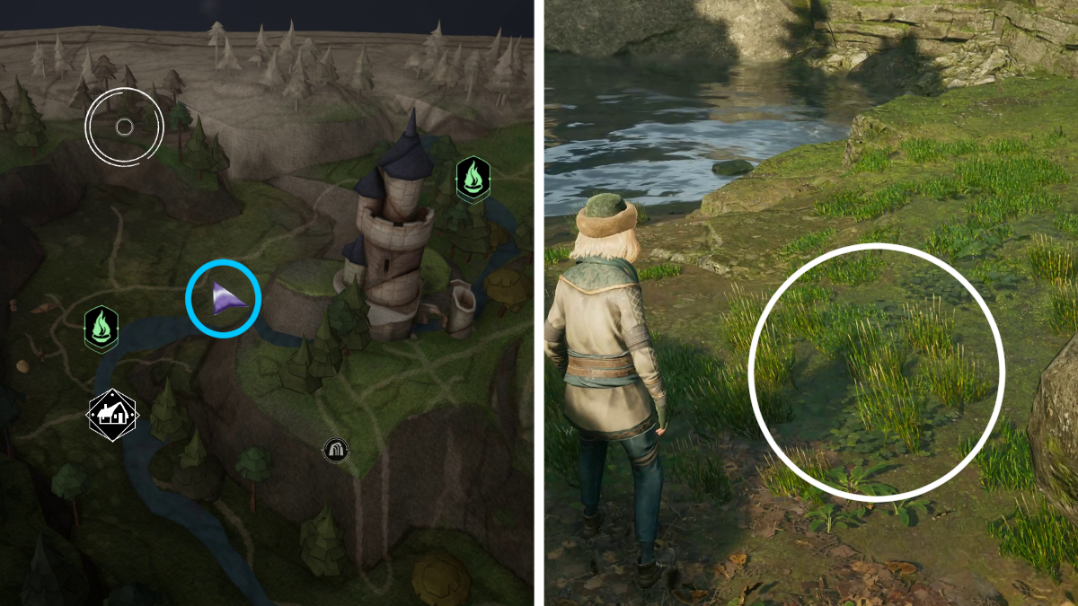 All butterfly locations in Hogwarts Legacy Gamepur