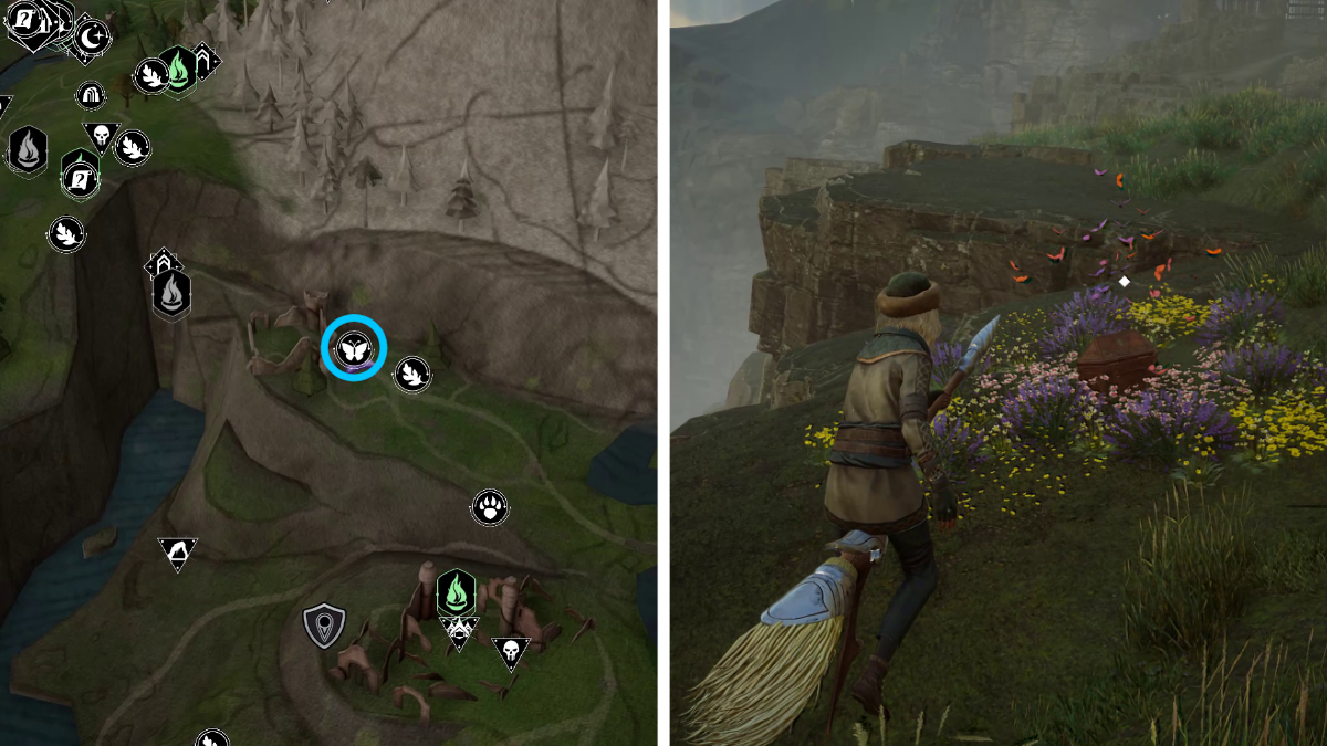 All butterfly locations in Hogwarts Legacy Gamepur