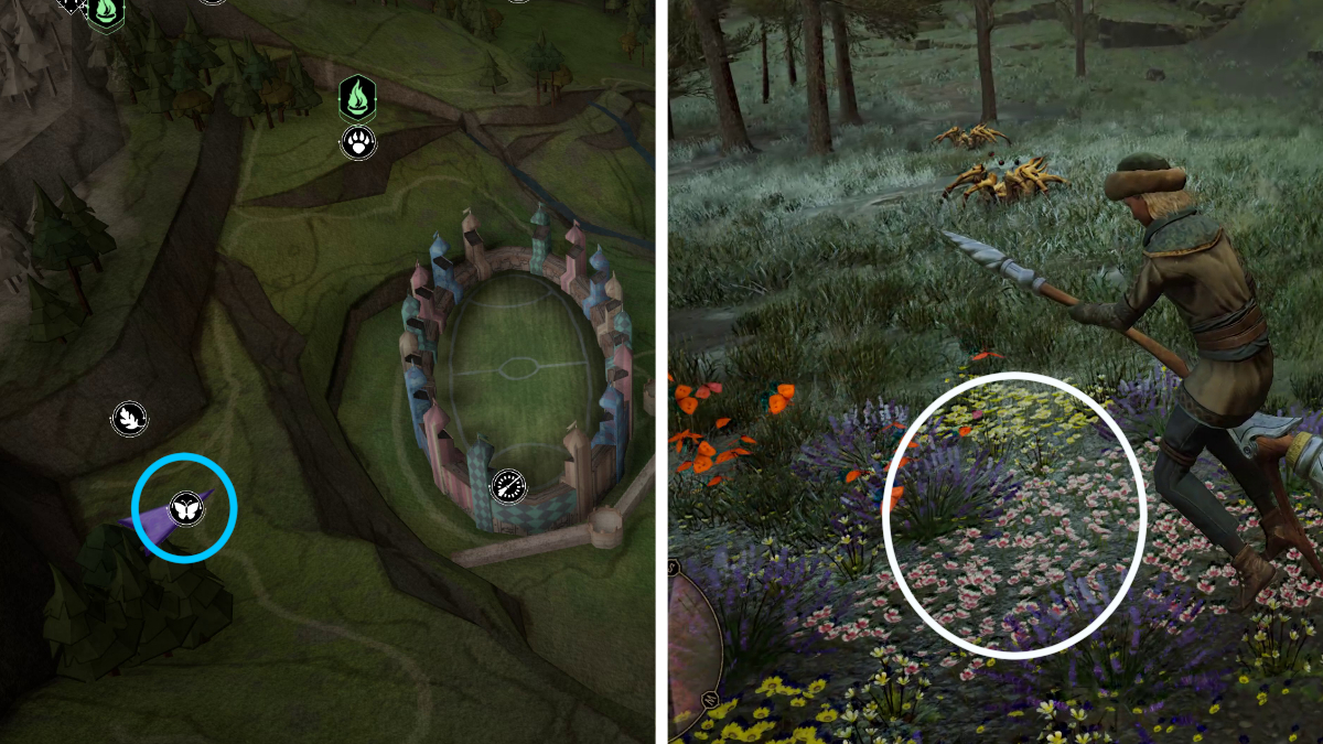 All butterfly locations in Hogwarts Legacy Gamepur