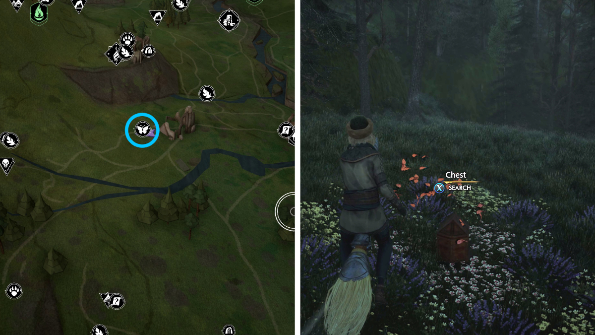 All butterfly locations in Hogwarts Legacy Gamepur
