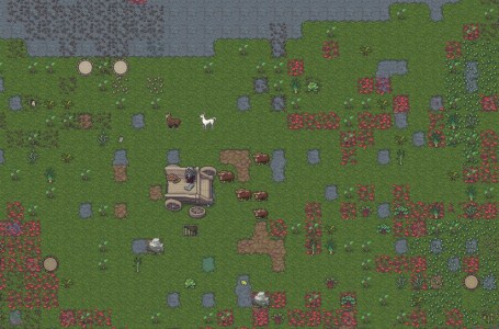  How animal husbandry and gelding works in Dwarf Fortress 