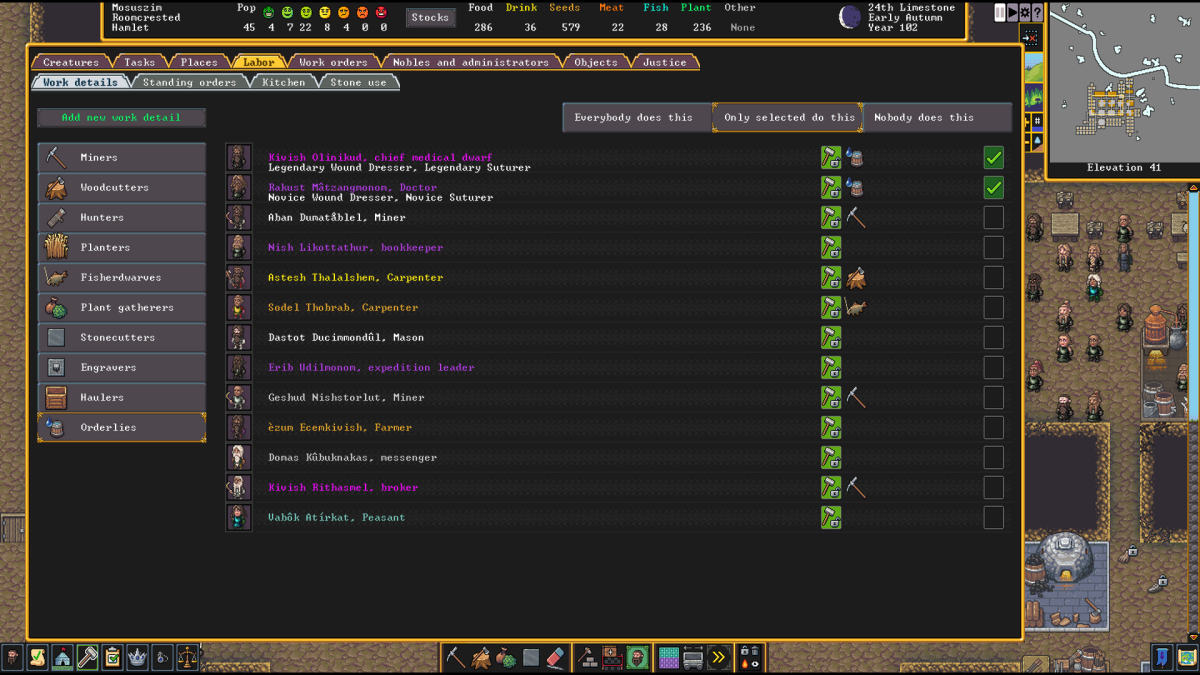 How to create and use Orderlies in Dwarf Fortress Gamepur