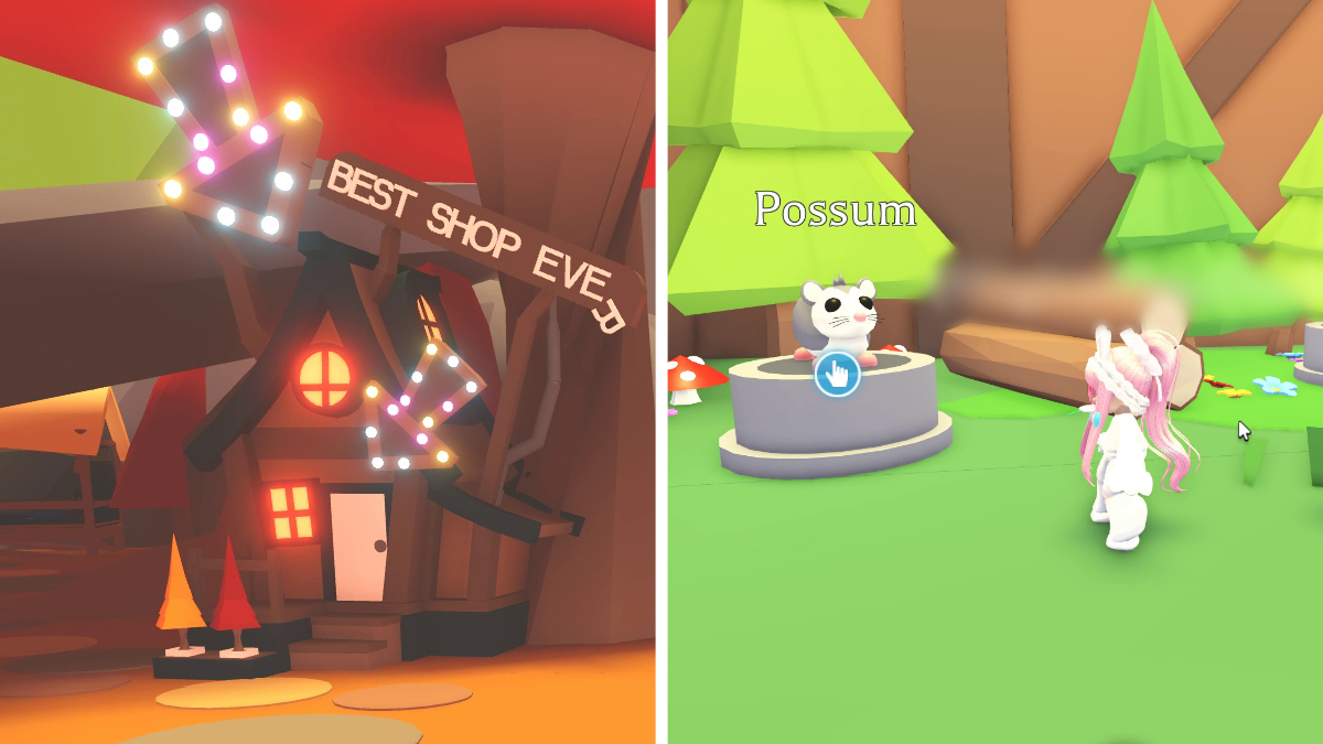 How to get a Possum in Adopt Me Gamepur