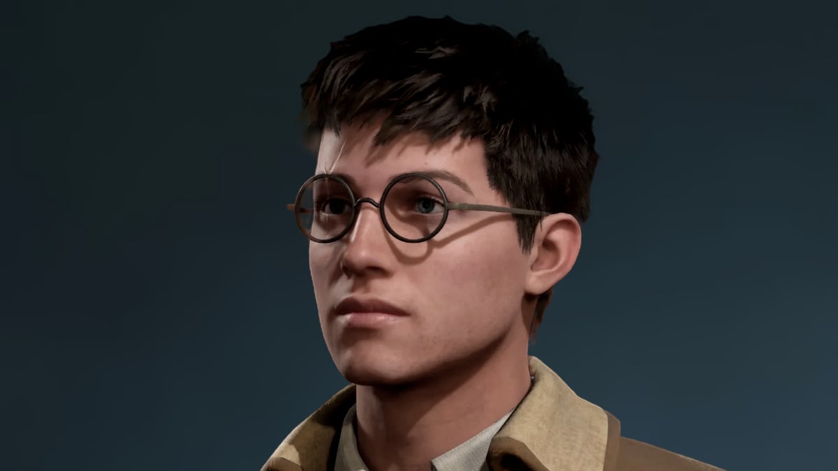 Harry Potter Character Creation in Hogwarts Legacy