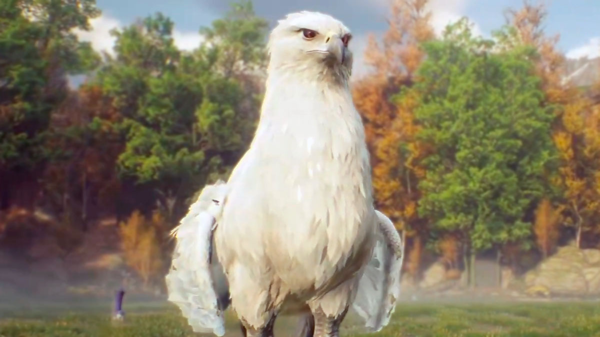 The best Xbox Series X and S settings for Hogwarts Legacy Gamepur