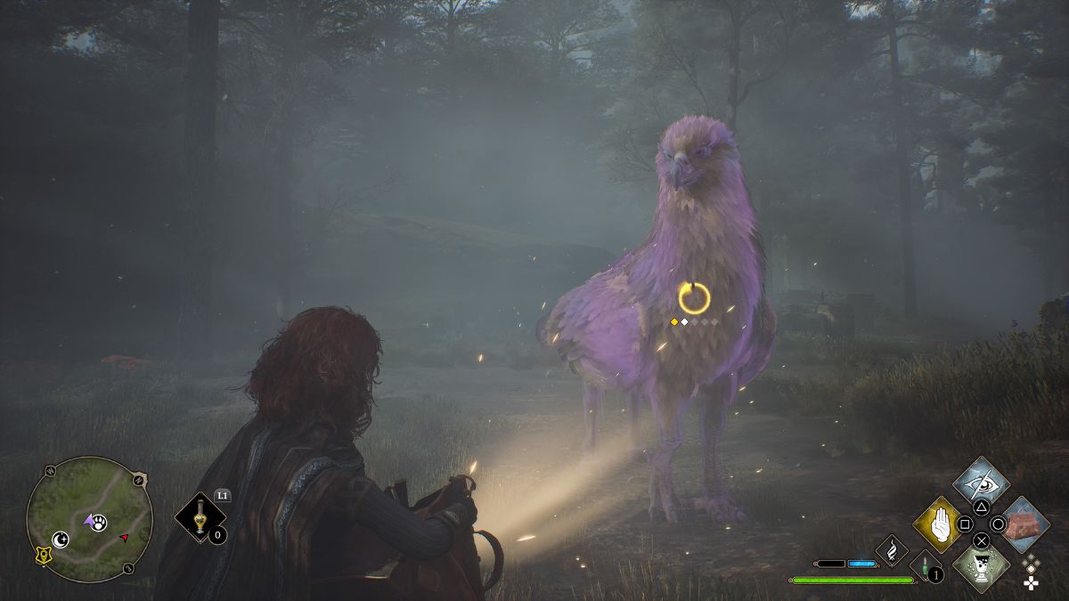 Where to find Hippogriffs in Hogwarts Legacy Gamepur