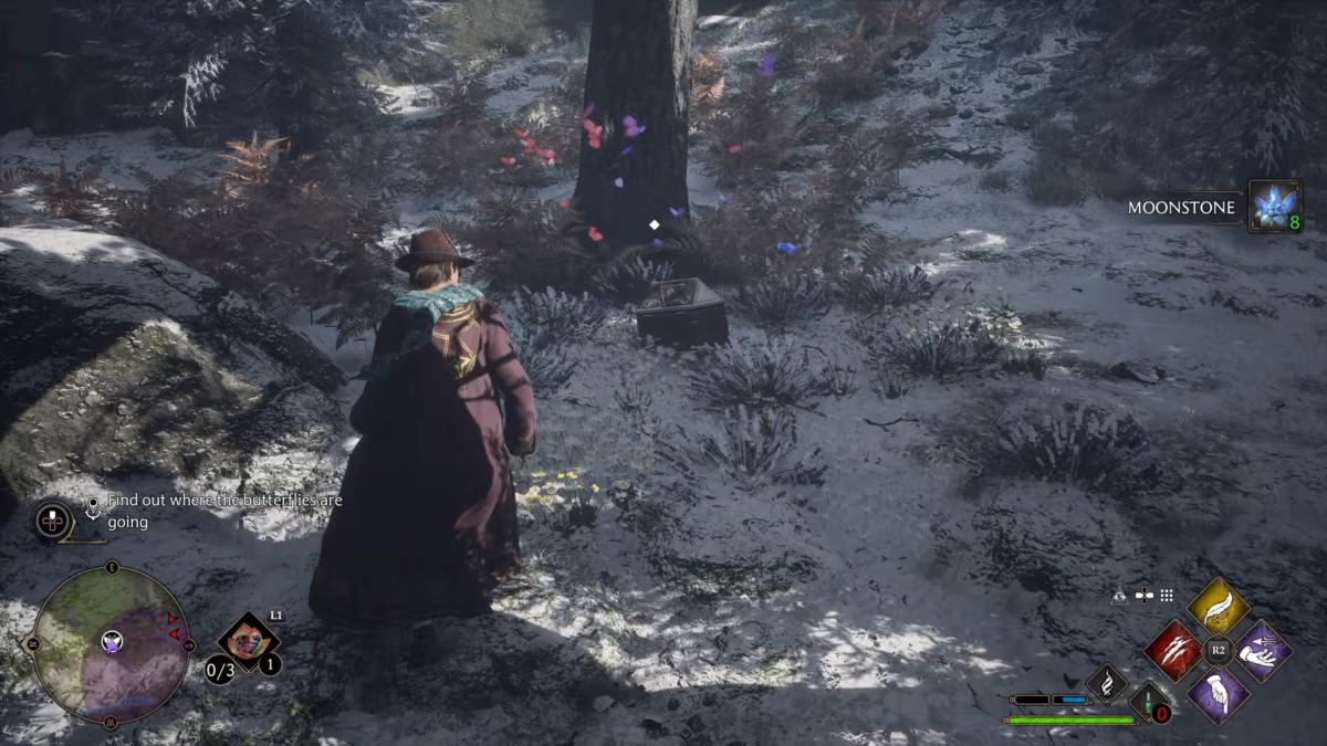 How to fix the find the butterflies in the forbidden forest glitch in