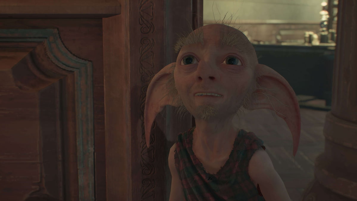 Hogwarts Legacy players can mount HouseElf heads in the Room of