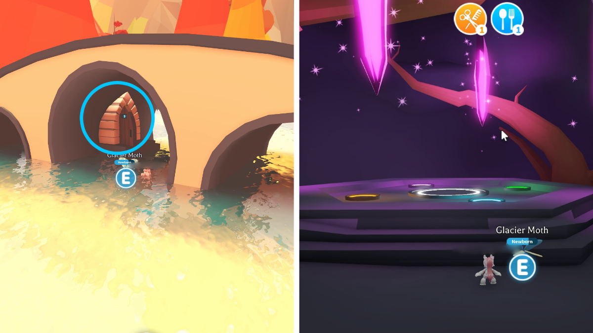 How to get a Possum in Adopt Me Gamepur