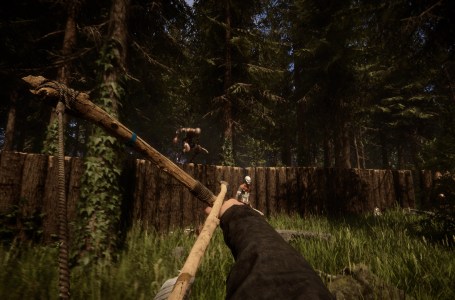 How to get and use Firewood in Sons of the Forest - Gamepur