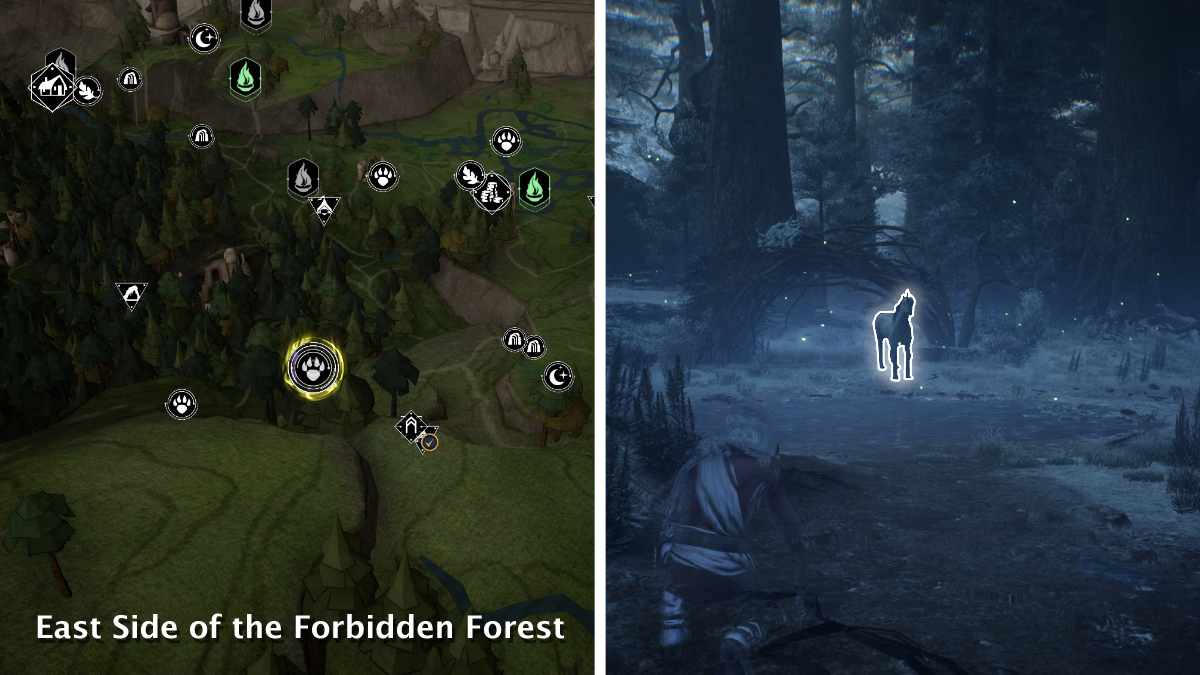 All Unicorn locations in Hogwarts Legacy Gamepur