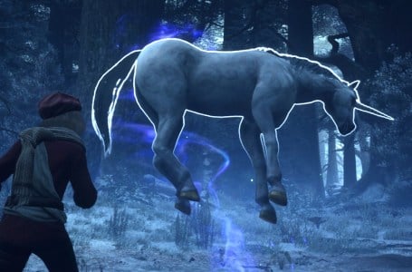  Hogwarts Legacy: All Unicorn Locations & How to Farm Them 