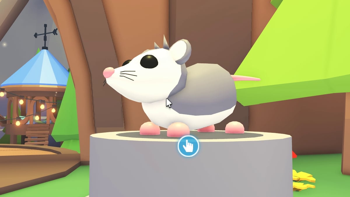 Viewing the Possum on its Stand in the Camping Shop of Roblox Adopt Me