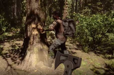  How to get and use Firewood in Sons of the Forest 
