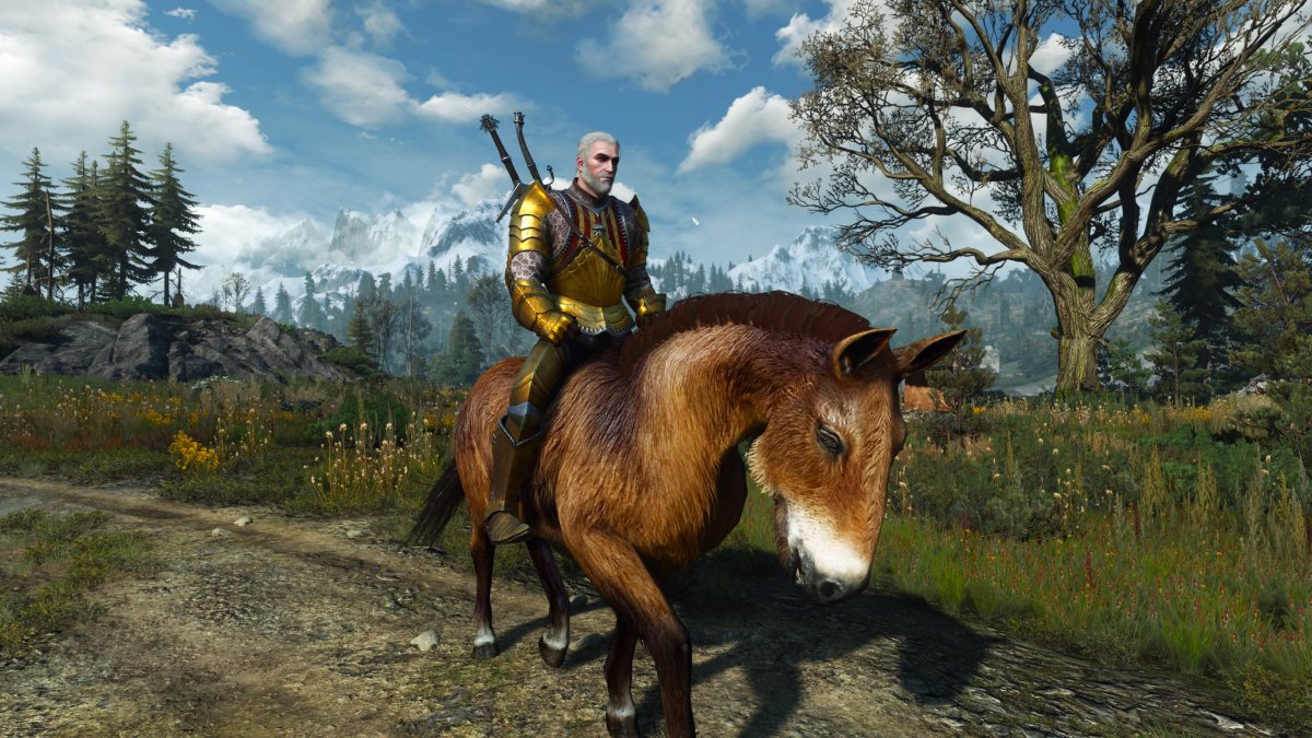 How to get a new horse in The Witcher 3 Gamepur