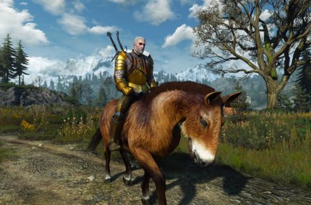  How to get a new horse in The Witcher 3 