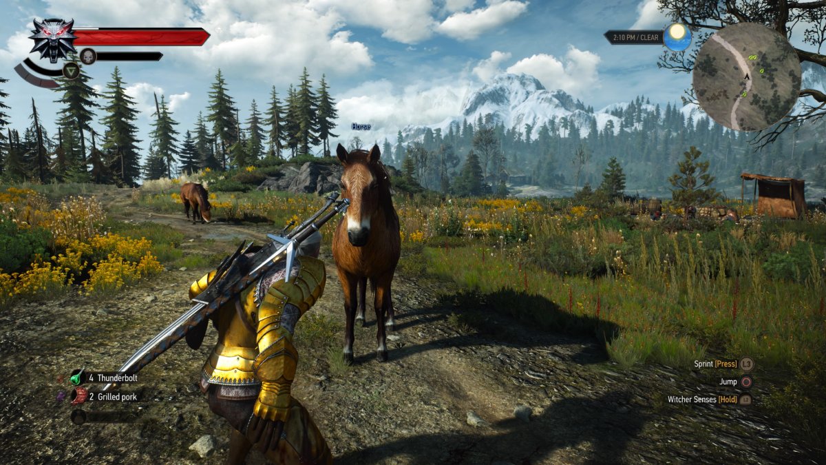 How to get a new horse in The Witcher 3 Gamepur