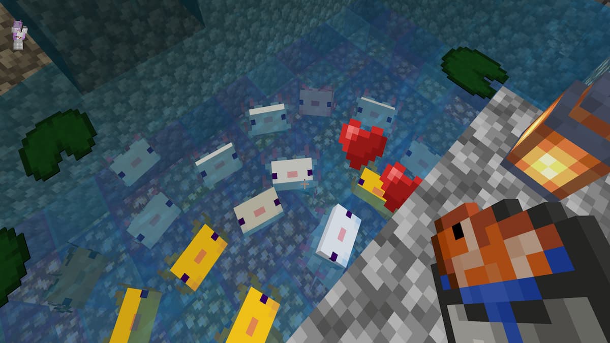 How to breed Axolotls in Minecraft Gamepur