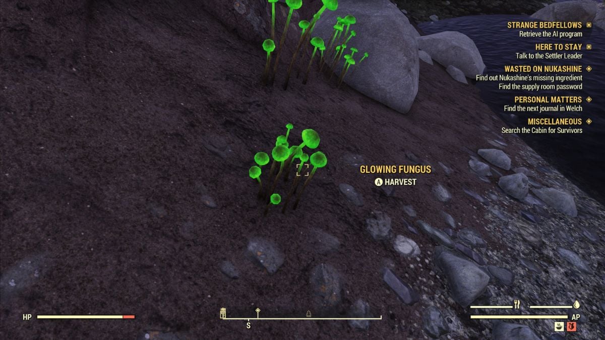 How to get Glowing Mushrooms in Fallout 76 – Game News