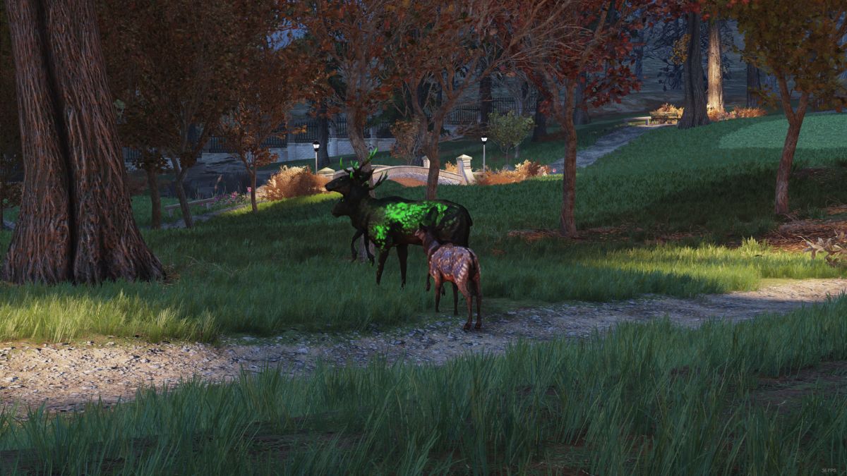 How to find Radstags in Fallout 76 Gamepur