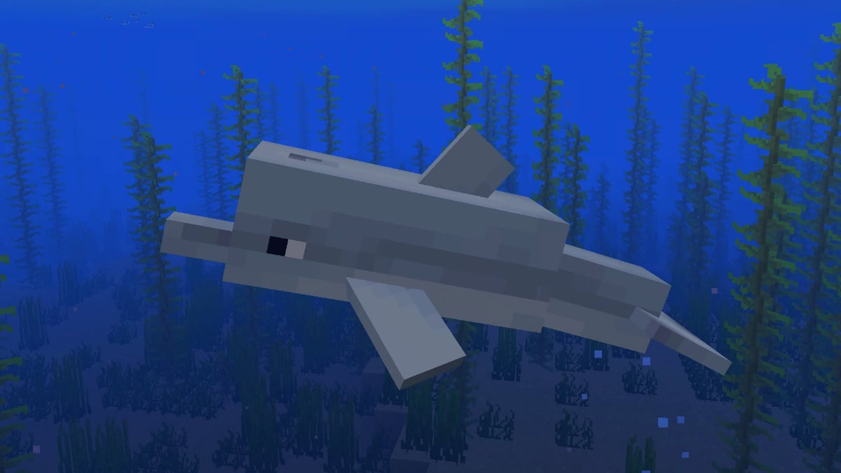 Finding a Dolphin in a Lukewarm Ocean in Minecraft