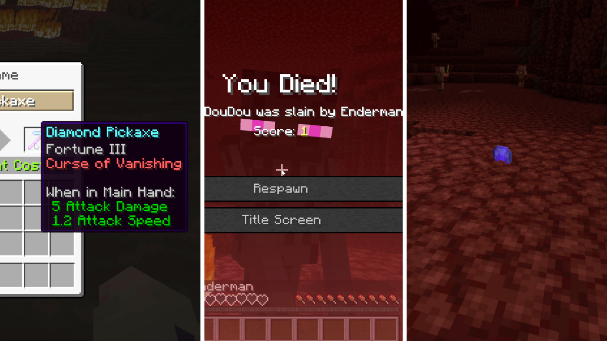What does Curse of Vanishing do in Minecraft Gamepur