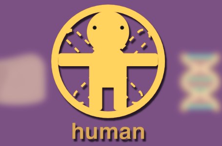 How to Make a Human in Little Alchemy 2 - Gamer Journalist