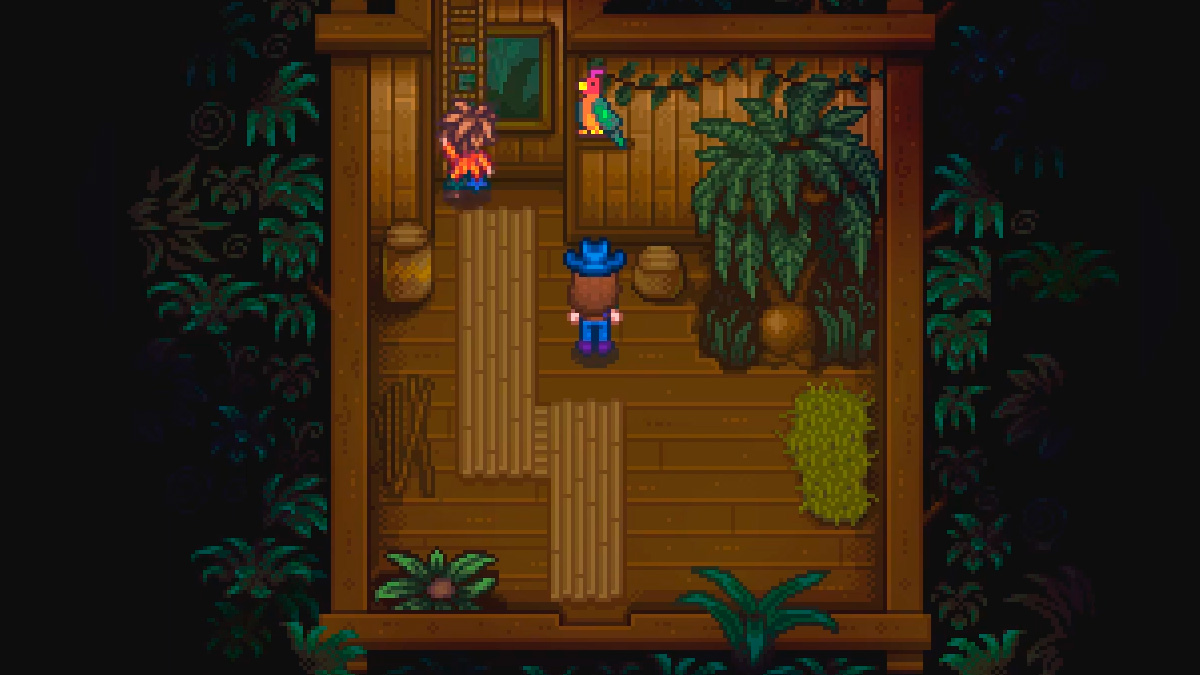 What does the parrot mean by "bulging very close by" in Stardew Valley