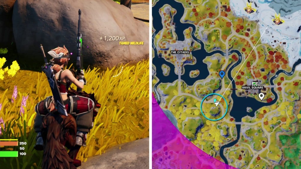 Wolf Location for Mounted Elimination in Fortnite